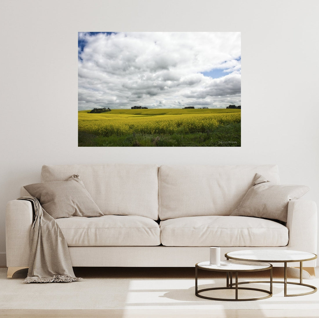 “Canola Fields” Birregurra Area – Victoria – Australia