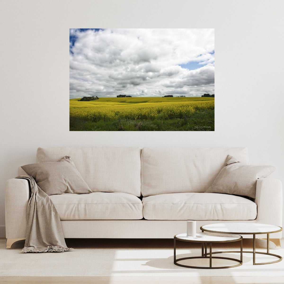 “Canola Fields” Birregurra Area – Victoria – Australia