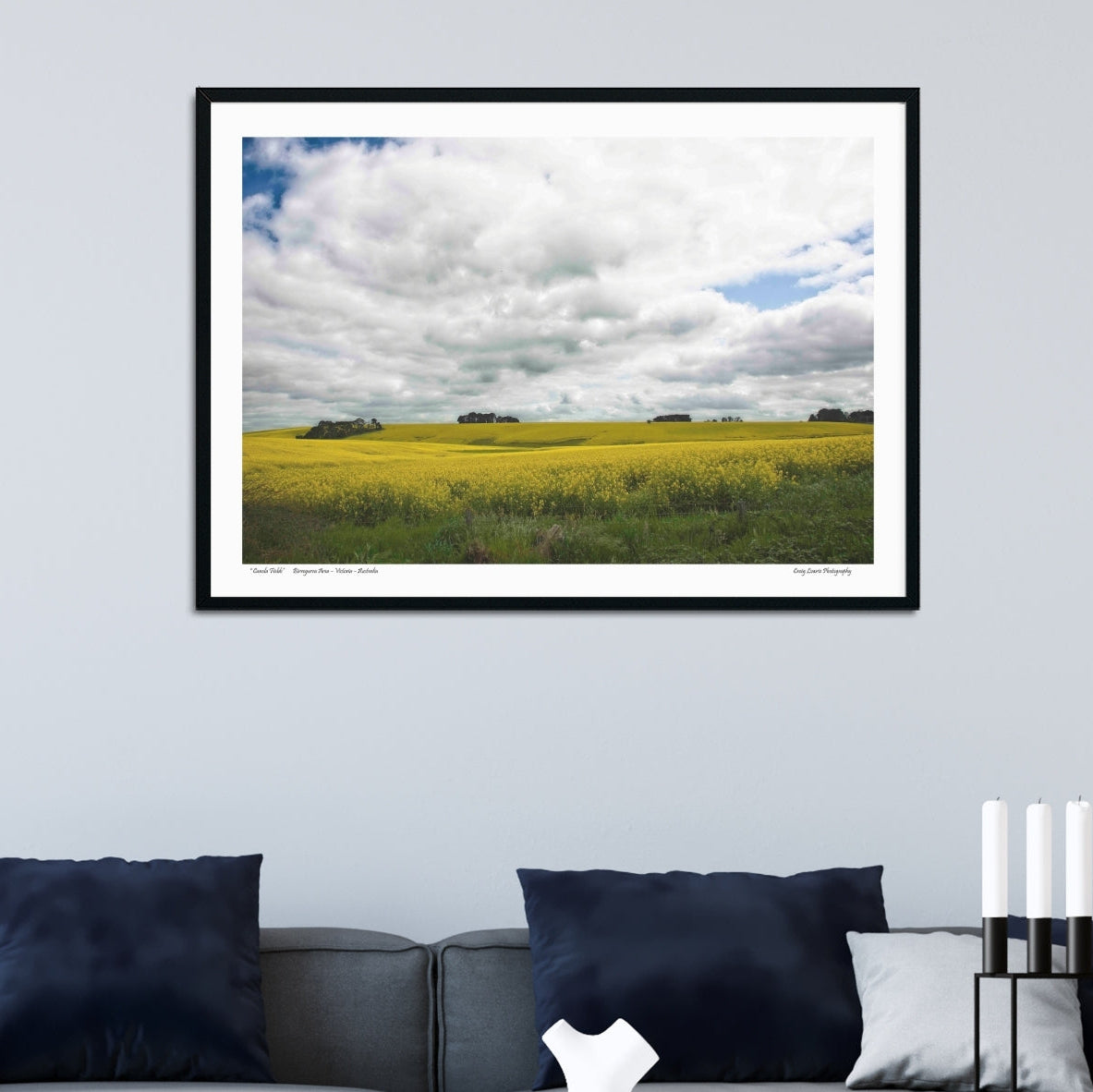 “Canola Fields” Birregurra Area – Victoria – Australia