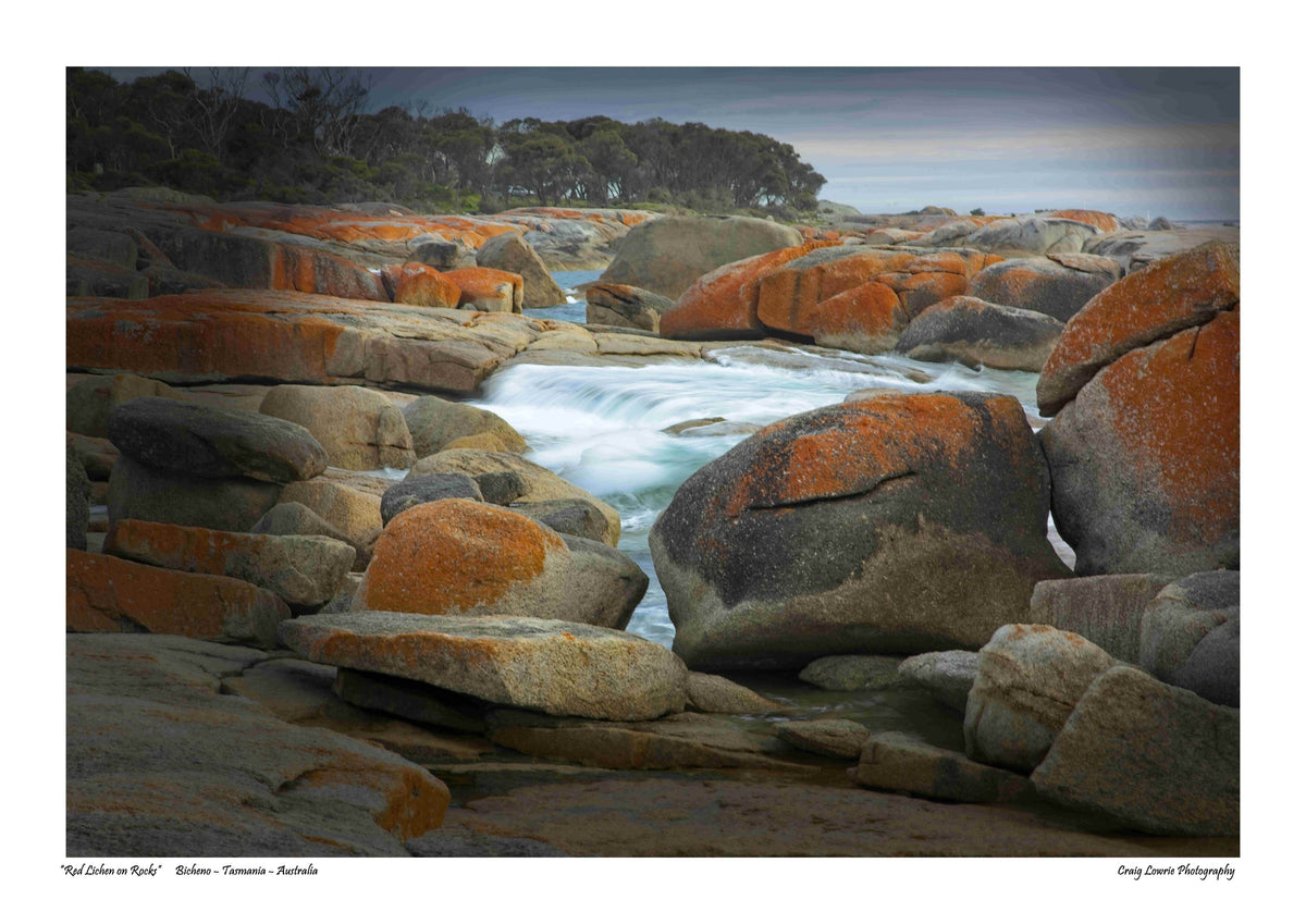 “Red Lichen on Rocks” Bicheno – Tasmania – Australia