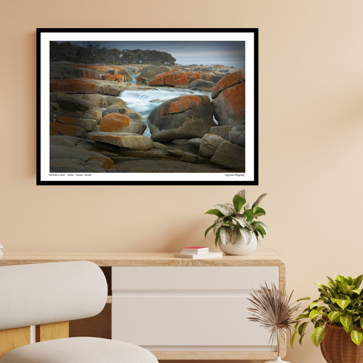 “Red Lichen on Rocks” Bicheno – Tasmania – Australia