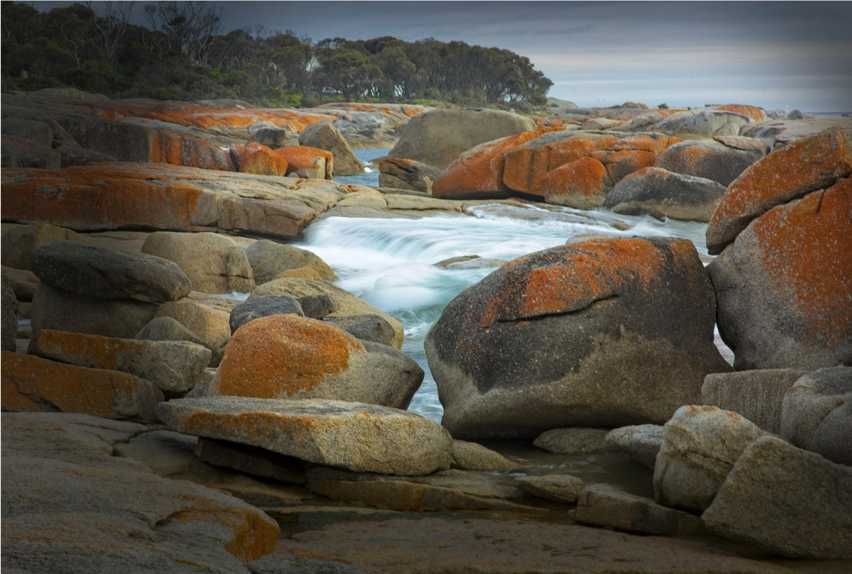 “Red Lichen on Rocks” Bicheno – Tasmania – Australia