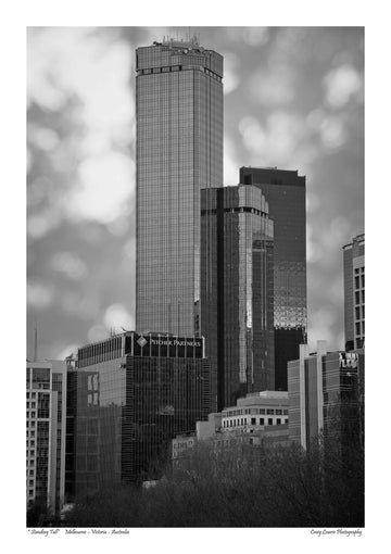 “Standing Tall” Melbourne – Victoria – Australia
