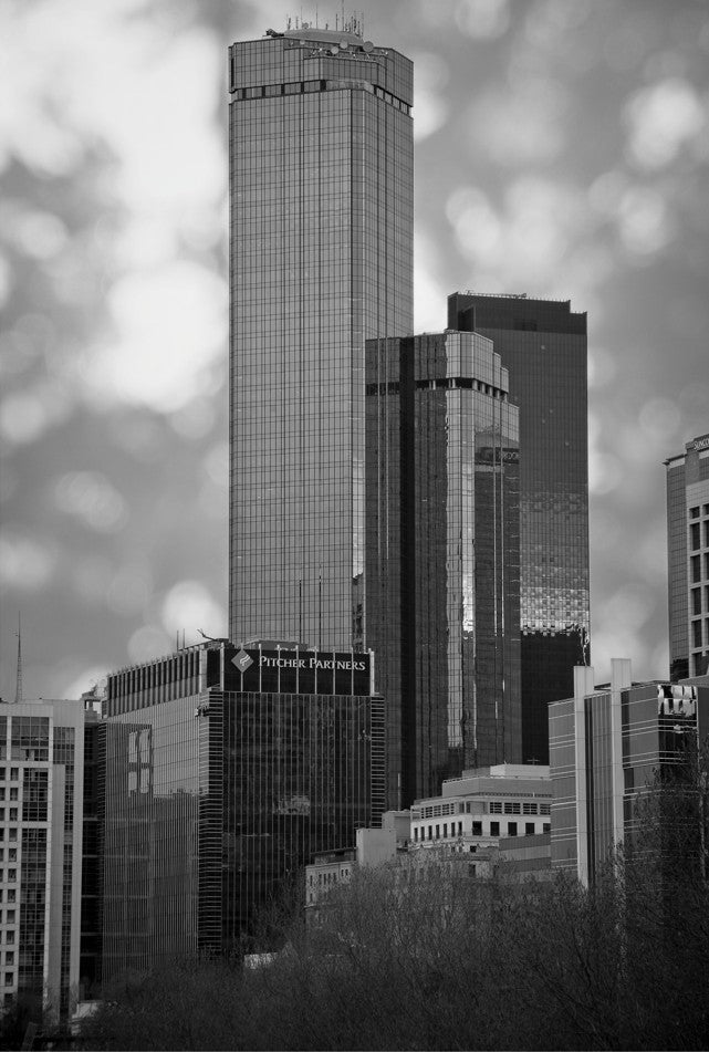 “Standing Tall” Melbourne – Victoria – Australia